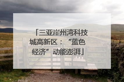 三亚崖州湾科技城高新区：“蓝色经济”动能澎湃