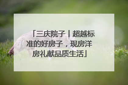 三庆院子丨超越标准的好房子，现房洋房礼献品质生活