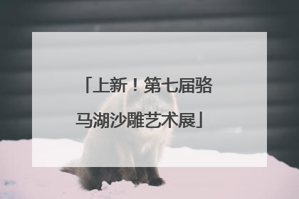 上新！第七届骆马湖沙雕艺术展