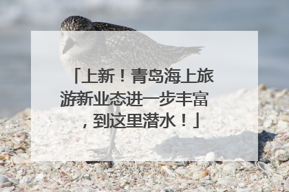 上新！青岛海上旅游新业态进一步丰富，到这里潜水！