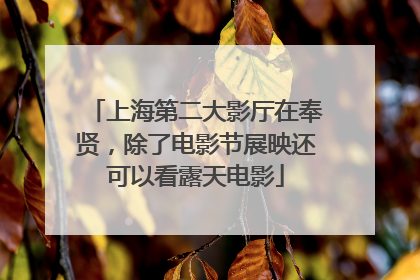 上海第二大影厅在奉贤，除了电影节展映还可以看露天电影