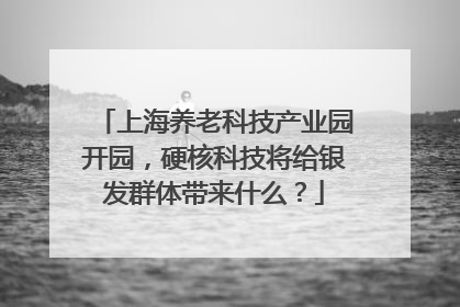 上海养老科技产业园开园，硬核科技将给银发群体带来什么？