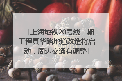 上海地铁20号线一期工程真华路地道改造将启动，周边交通有调整