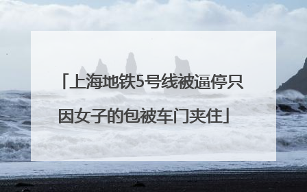 上海地铁5号线被逼停只因女子的包被车门夹住
