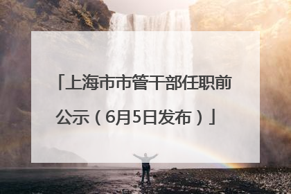 上海市市管干部任职前公示（6月5日发布）