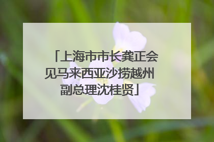 上海市市长龚正会见马来西亚沙捞越州副总理沈桂贤