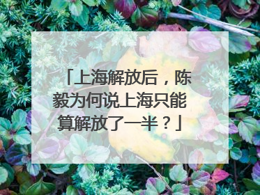 上海解放后，陈毅为何说上海只能算解放了一半？