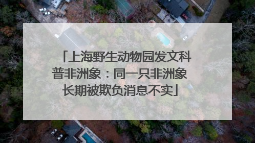 上海野生动物园发文科普非洲象：同一只非洲象长期被欺负消息不实