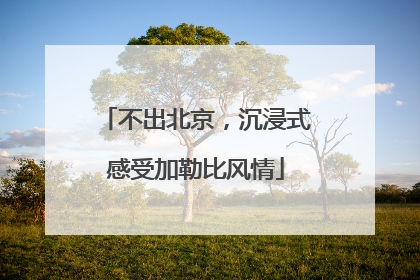 不出北京，沉浸式感受加勒比风情