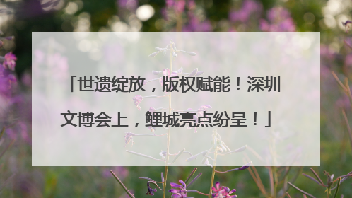 世遗绽放，版权赋能！深圳文博会上，鲤城亮点纷呈！