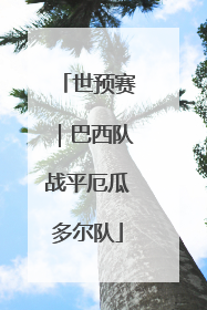 世预赛｜巴西队战平厄瓜多尔队