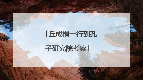 丘成桐一行到孔子研究院考察