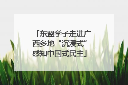 东盟学子走进广西多地“沉浸式”感知中国式民主