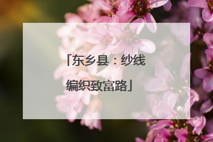 东乡县：纱线编织致富路