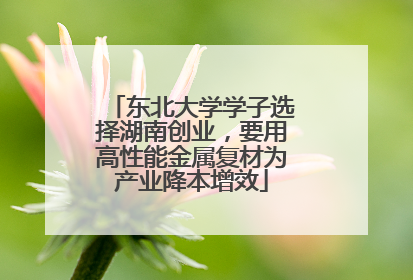 东北大学学子选择湖南创业，要用高性能金属复材为产业降本增效