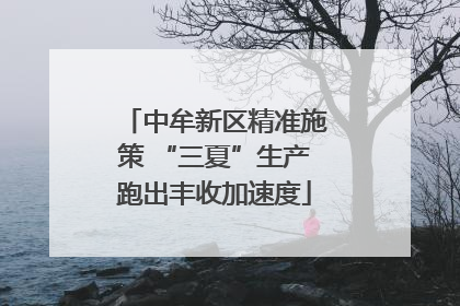 中牟新区精准施策 “三夏”生产跑出丰收加速度