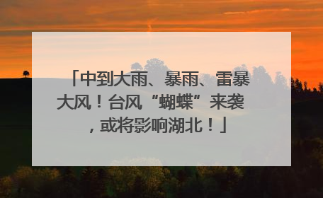 中到大雨、暴雨、雷暴大风！台风“蝴蝶”来袭，或将影响湖北！
