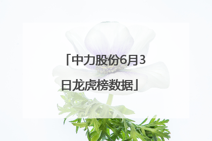 中力股份6月3日龙虎榜数据