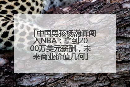 中国男孩杨瀚森闯入NBA：拿到2000万美元薪酬，未来商业价值几何