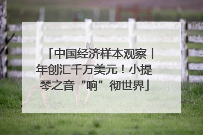 中国经济样本观察丨年创汇千万美元！小提琴之音“响”彻世界