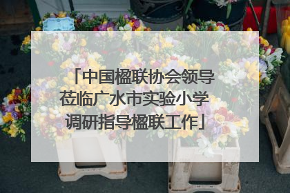 中国楹联协会领导莅临广水市实验小学调研指导楹联工作