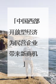 中国西部开放型经济为民营企业带来新商机