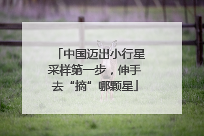 中国迈出小行星采样第一步，伸手去“摘”哪颗星
