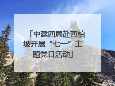 中建四局赴西柏坡开展“七一”主题党日活动