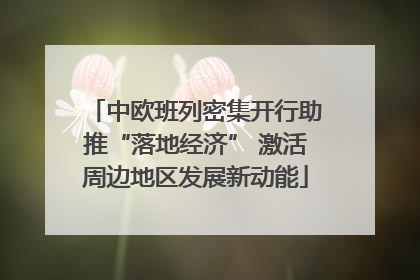 中欧班列密集开行助推“落地经济” 激活周边地区发展新动能