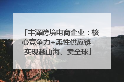 丰泽跨境电商企业：核心竞争力+柔性供应链 实现越山海、卖全球