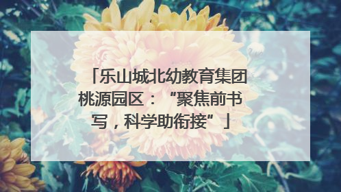乐山城北幼教育集团桃源园区：“聚焦前书写，科学助衔接”