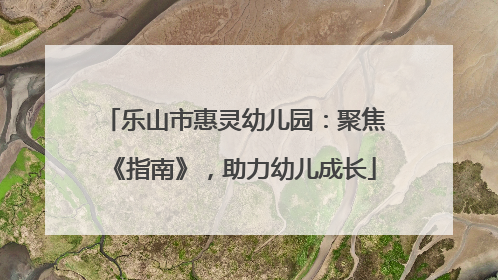 乐山市惠灵幼儿园：聚焦《指南》，助力幼儿成长