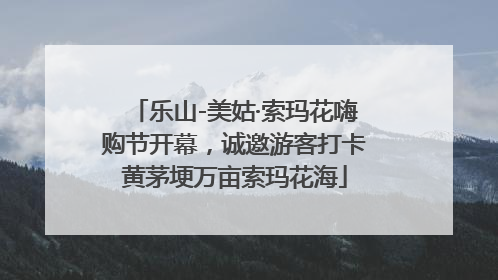 乐山-美姑·索玛花嗨购节开幕，诚邀游客打卡黄茅埂万亩索玛花海