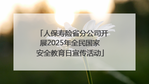 人保寿险省分公司开展2025年全民国家安全教育日宣传活动