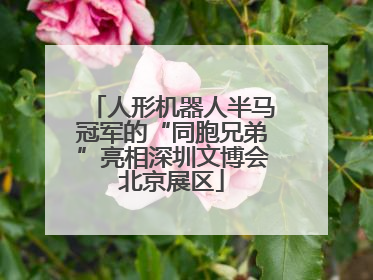 人形机器人半马冠军的“同胞兄弟”亮相深圳文博会北京展区