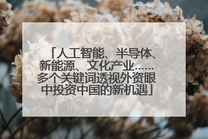 人工智能、半导体、新能源、文化产业……多个关键词透视外资眼中投资中国的新机遇