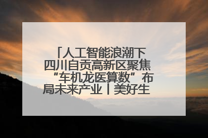 人工智能浪潮下 四川自贡高新区聚焦“车机龙医算数”布局未来产业丨美好生活有“盐”味