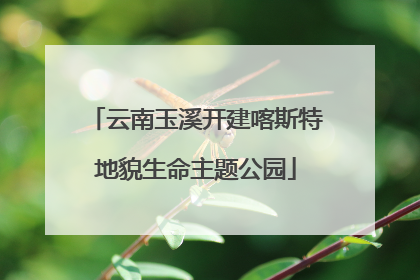 云南玉溪开建喀斯特地貌生命主题公园