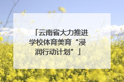 云南省大力推进学校体育美育“浸润行动计划”