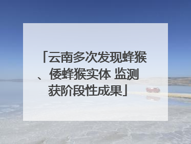 云南多次发现蜂猴、倭蜂猴实体 监测获阶段性成果