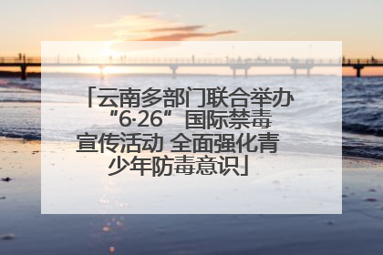 云南多部门联合举办“6·26”国际禁毒宣传活动 全面强化青少年防毒意识