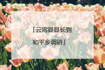 云霄县县长到和平乡调研