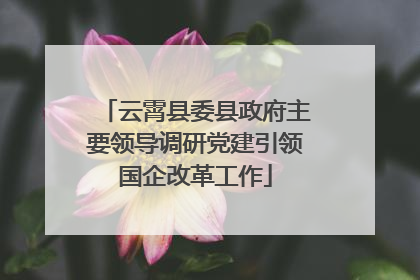 云霄县委县政府主要领导调研党建引领国企改革工作