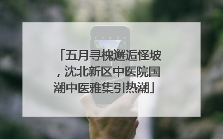 五月寻槐邂逅怪坡，沈北新区中医院国潮中医雅集引热潮