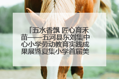 五水香飘 匠心育禾苗——五河县东刘集中心小学劳动教育实践成果展暨夏集小学首届美食节盛大举行