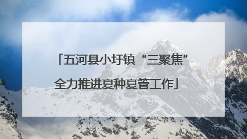 五河县小圩镇“三聚焦”全力推进夏种夏管工作