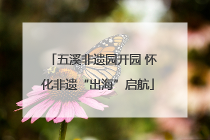 五溪非遗园开园 怀化非遗“出海”启航