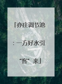 亦庄调节池：一方好水引“客”来