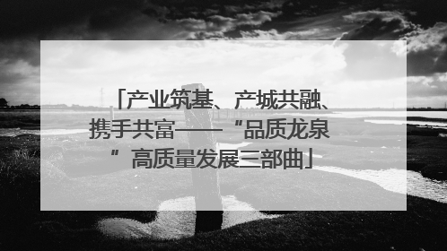 产业筑基、产城共融、携手共富——“品质龙泉”高质量发展三部曲