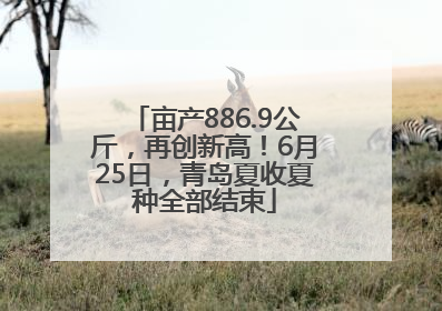 亩产886.9公斤，再创新高！6月25日，青岛夏收夏种全部结束